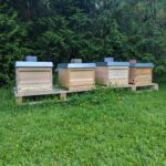 Bienenstand Overath