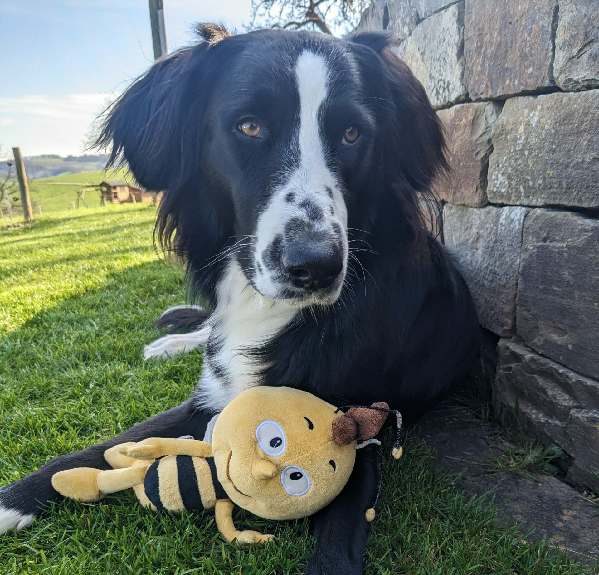 PXL_20230404_144104167